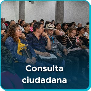Consulta Ciudadana